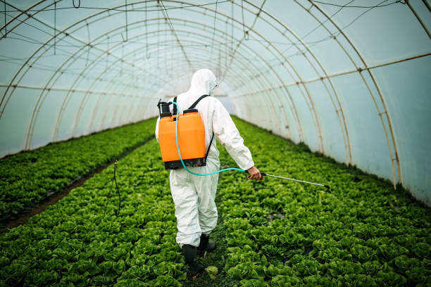 Best Pest Control for Restaurants  in Guthrie, KY