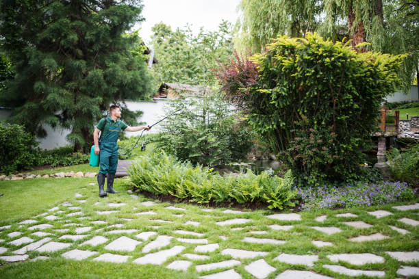 Best Best Pest Control Companies  in Guthrie, KY