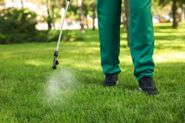 Best Pest Prevention Services  in Guthrie, KY