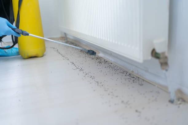 Best Pest Removal Services  in Guthrie, KY