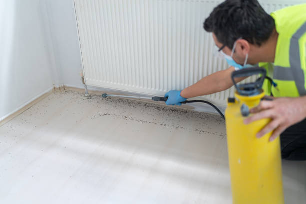 Best Mosquito Control Services  in Guthrie, KY