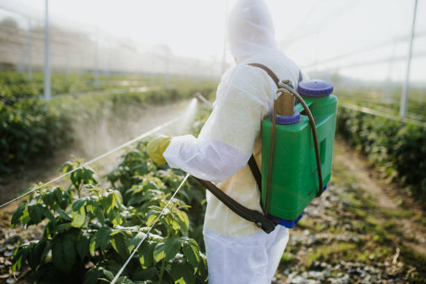 Professional Pest Control in Guthrie, KY